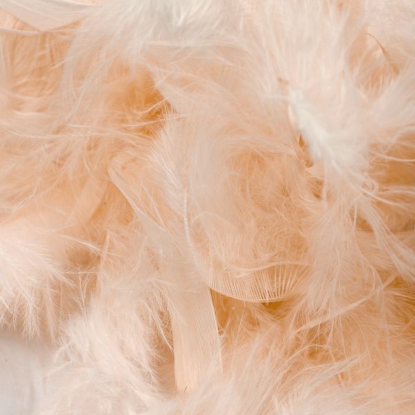 Боа из перьев 2 метра, FBY-50-122, цв.кремовый