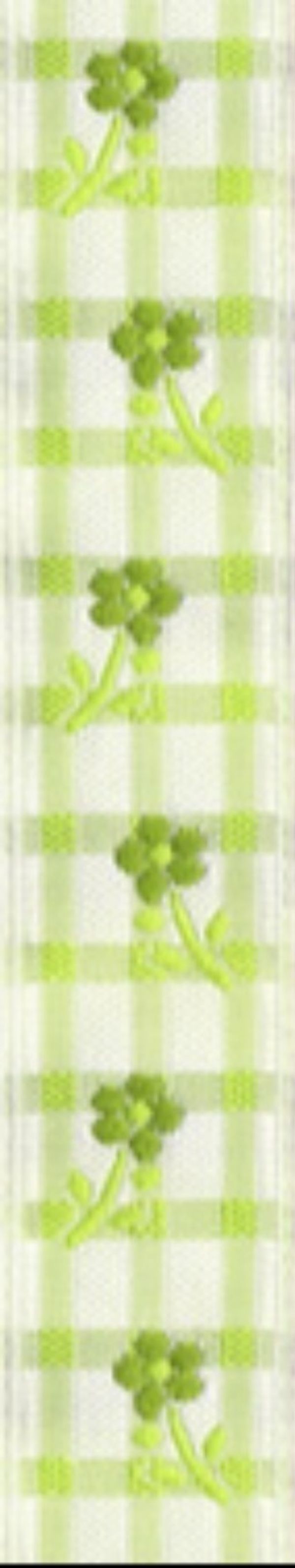 Лента (тесьма) жаккардовая 20.0 мм / 10±0.5 метров, белый/салатовый (белый/св.зеленый), Gamma TRJ-22