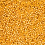 Бисер Preciosa прозрачный матовый с серебр.центром 10/0 (2.3 мм), круг.отв, 20гр, уп.5 шт