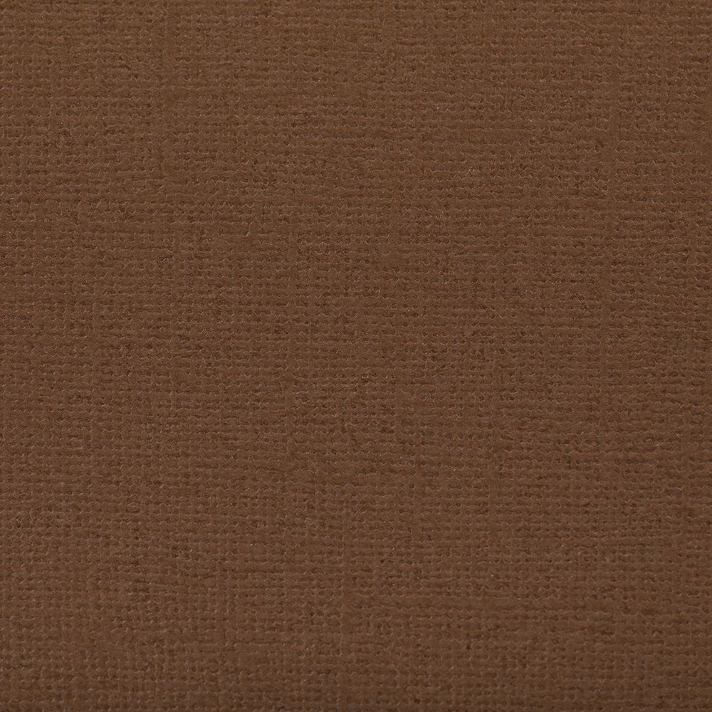 Бумага для скрапбукинга 216 г/м², 30.5х30.5 см, 10 шт, 56 Фундук (коричневый), Mr.Painter PST