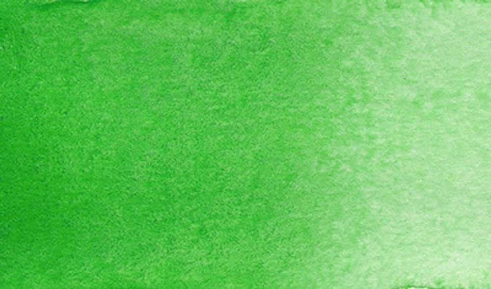 Краска акварель художественная, кювета 2.5 мл, 623 зеленая Хукера, Vista-Artista VAW