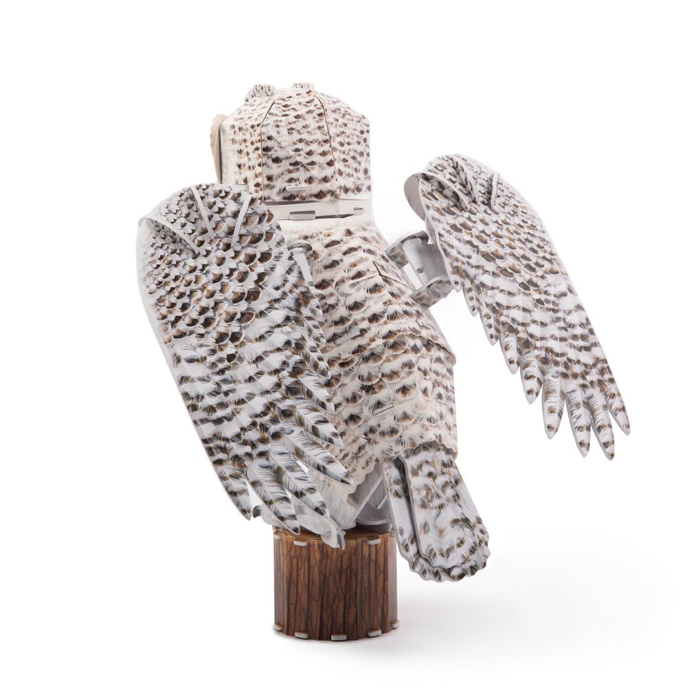 Пазл объемный 3D, 62 элемента, Серия Животные, Полярная сова, Rezark ANM-01