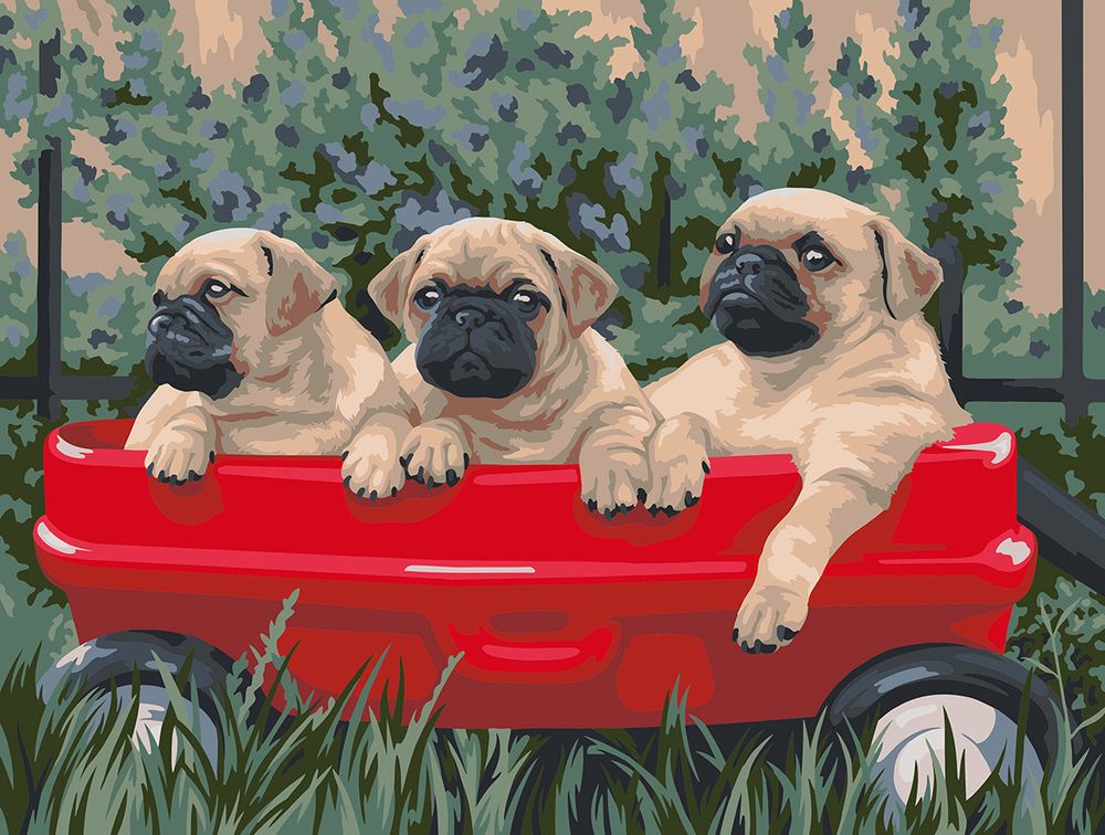 Картина по номерам Фрея, Мопсы, 30х40 см