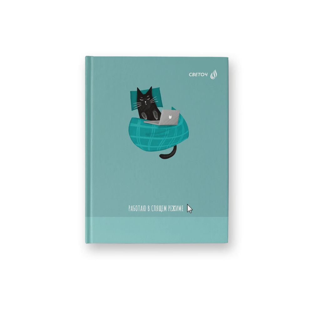 Бизнес-блокнот, матовая ламинация +выборочный лак, A6 64 л. 24 шт, клетка, Работаю в спящем режиме 000907, Светоч 64ББТ6_93_5_1