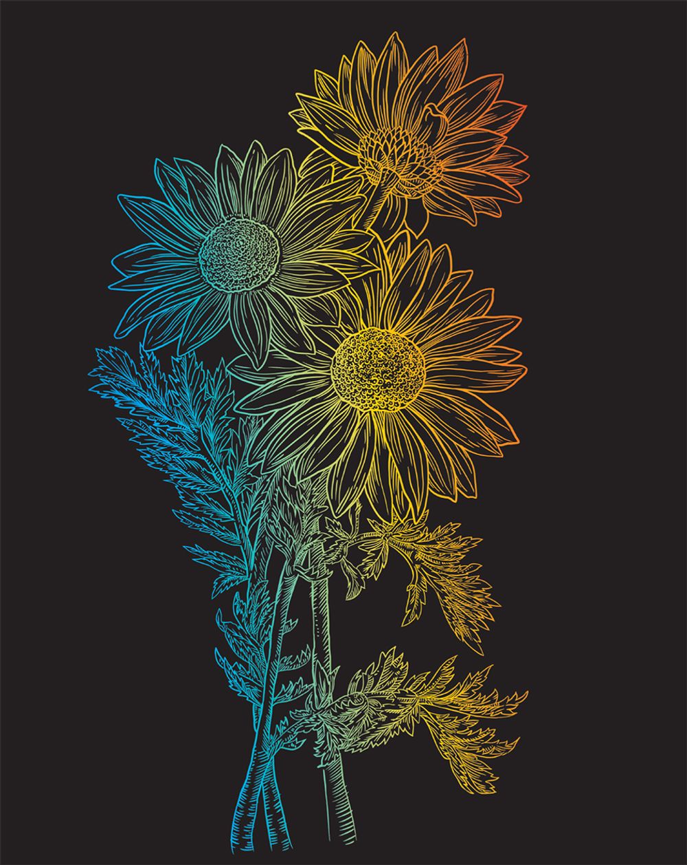 Набор для творчества Гравюра №61 Астры, 20х25.5 см, Hobbius SGHK