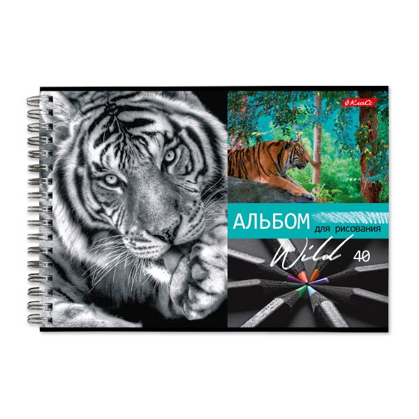 Альбом для рисования, 100 г/м², A4 29х20.5 см, на гребне 40 л., 6 шт, 40АЛГР4_000244 Саванна, Светоч