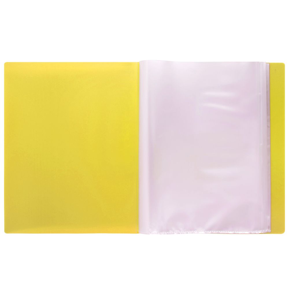 Папка с вкладышами 40 л. A4 600 мкм 20 мм, 6 шт, желтый EC211700009, Expert Complete