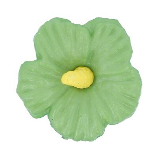 Пуговицы детские 15 мм, 36 шт, №047/504 зеленый/желтый, Gamma AY 9909