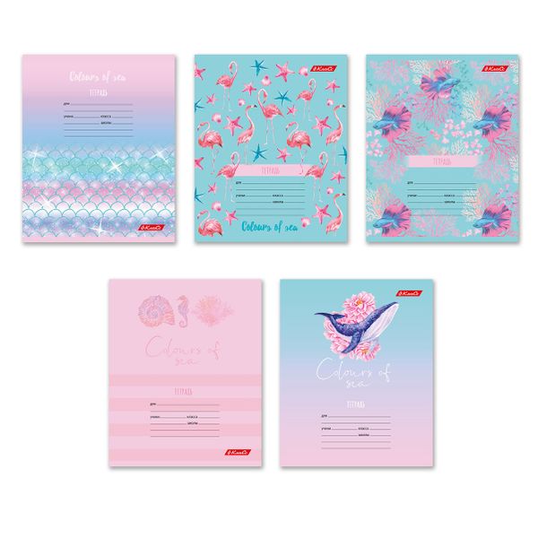 Тетрадь ученическая школьная A5+ 24 л. на скобе 65 г/м², белизна 100% 30 шт, клетка, 000375 Океания, Светоч 24ТСКд5_1_3_1