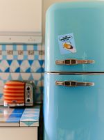 Алмазная (кристальная) мозаика Фрея ALVM-104, магнит Токсичный гусь, 9х11 см