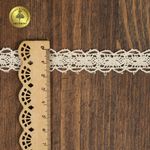 Кружево вязаное (тесьма) 15 мм / 10 метров, D1010, тонкая нить, цв.02 молочный, Kruzhevo