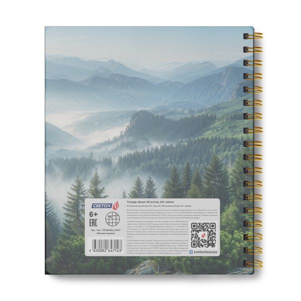 Тетрадь общая с пластик. обложкой с тисн. золотой фольгой, цвет. запечат. титульн.лист, 400 мкм, A5 96 л. на гребне 65 г/м², белизна 100% 4 шт клетка, 01537 Лесная тишина, Светоч ТЕТ96-003