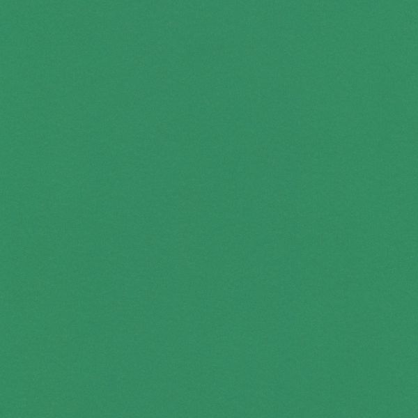 Бумага цветная 120 г/м², A4 21х29.7 см, 50 шт, 25 темно-зеленый/dark green, Vista-Artista