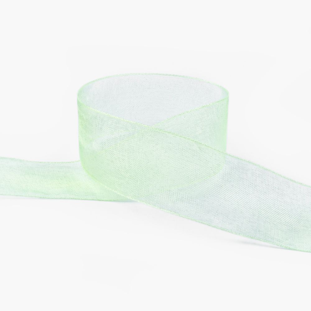 Лента капроновая (органза) 25.0 мм / 22.8±1 метра, 117 св.салатовый, Blitz OR-25