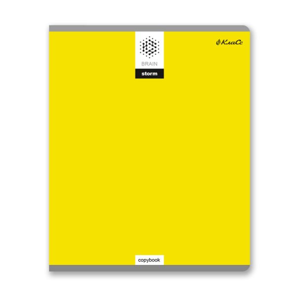 Тетрадь ученическая общая, пантон, A5+ 48 л. на скобе 65 г/м², белизна 100%, 10 шт, клетка в термоусадочной пленке, 000753 Моноколор, Светоч 48ТЕТк-005