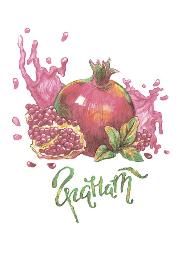 Скетч для раскрашивания цветными карандашами Фрея, Гранатовый сок 29.7х21 см, 1 л