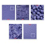 Тетрадь ученическая общая A5+ 48 л. на скобе, белизна 100%, 10 шт, клетка, 000308 Черничный рай, Светоч 48ТСК5_1_3_1