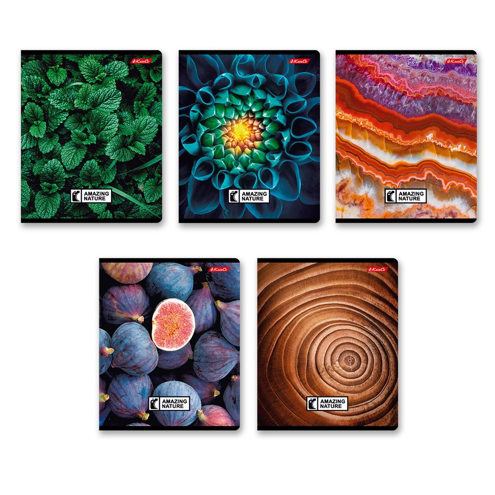 Тетрадь ученическая общая, твин лак, A5+ 60 л. на скобе 65 г/м², белизна 100%, 10 шт, клетка в термоусадочной пленке, 000477 Биосфера, Светоч 60ТСК5_8_2_1