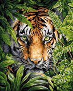 Картина по номерам Фрея PNB/PLC-274, Затаившийся тигр, (цветной холст) 50х40 см