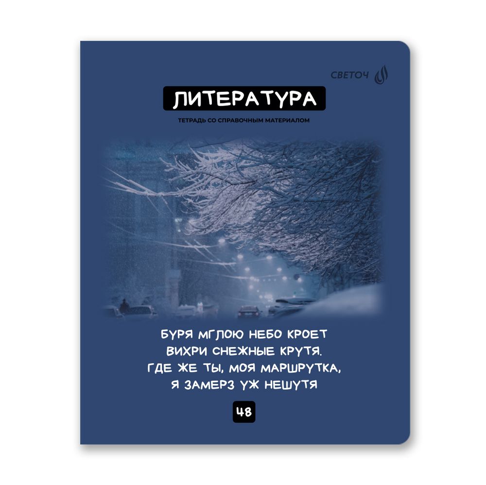 Комплект тетрадей со справочными материалами Мраксимализм, A5 48 л. 12 шт на скобе 60 г/м², белизна 90% 1 шт клетка/линия, 01890 12 предметов, Светоч Т292