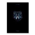 Тетрадь ученическая общая, A4 96 л. на скобе 65 г/м², белизна 100 %, 6 шт, клетка, 01353 Сила и скорость, Светоч Т156