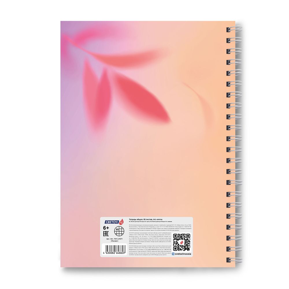 Тетрадь общая с твердой обложкой, матовая ламинация A4 80 л. на гребне 65 г/м², белизна 100% 2 шт клетка, 01571 Рассвет, Светоч Т217