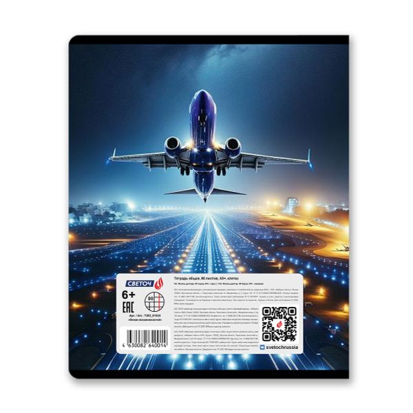 Тетрадь ученическая общая, A5 80 л. на скобе 65 г/м², белизна 100% 5 шт клетка, 01524 Океан возможностей, Светоч Т202