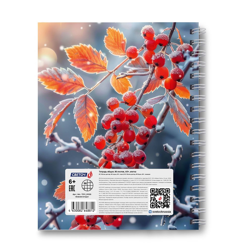 Тетрадь общая с твердой обложкой, матовая ламинация + выборочный лак A5 96 л. на гребне 65 г/м², белизна 100% 4 шт клетка, 01555 Зимняя ягода, Светоч Т211