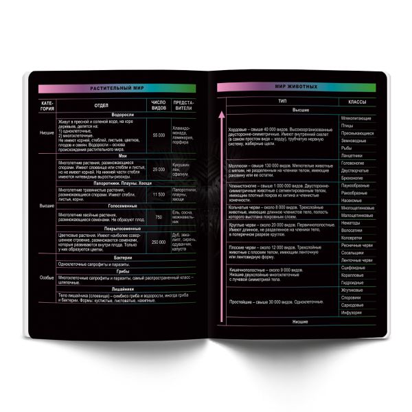 Тетрадь предметная Загадочная история A5+ 48 л. на скобе, белизна 100%, 10 шт, клетка, 48ТСК5/000185 Биология, Светоч