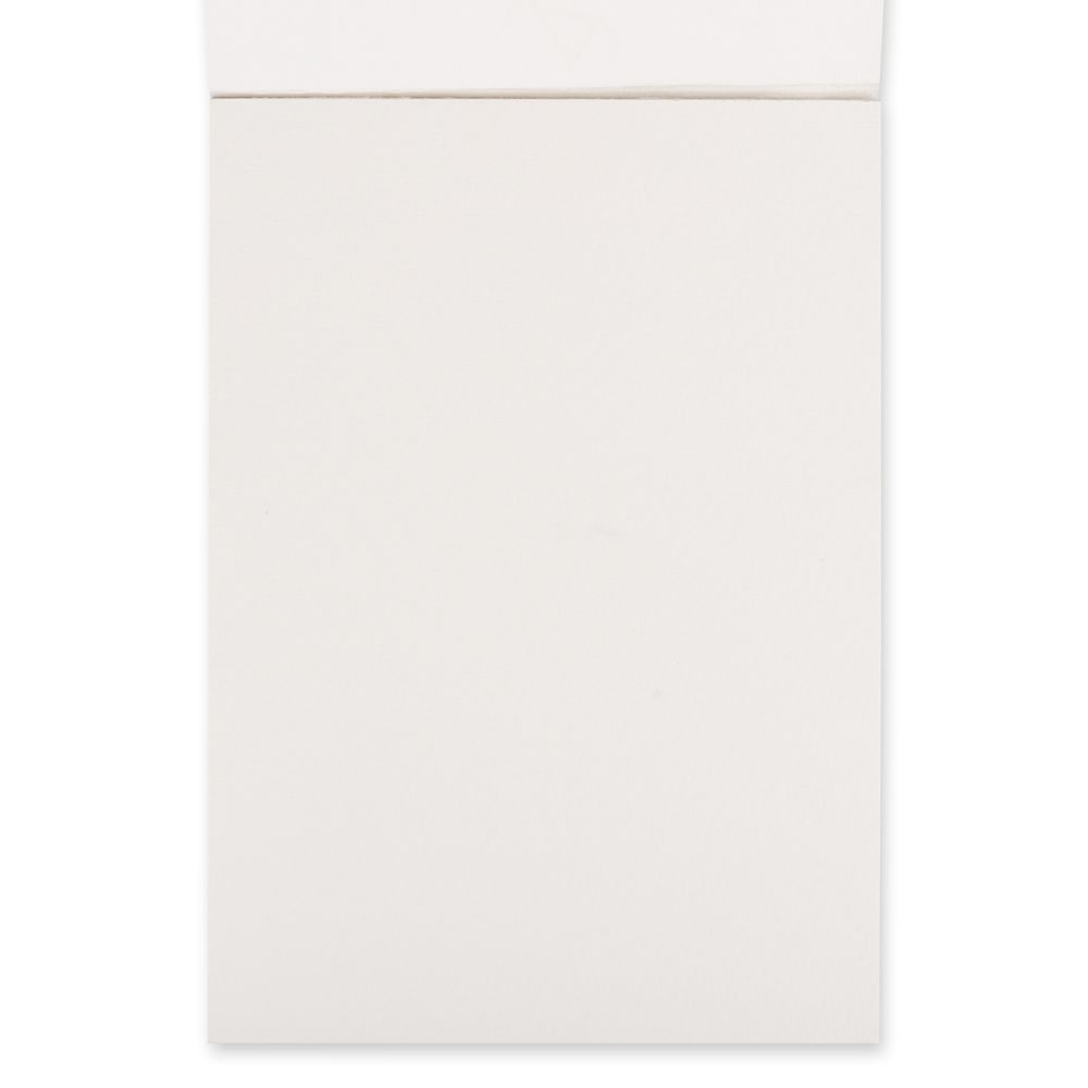 Альбом для акварели 200 г/м², A5 14.8х21 см, склейка с одной стороны 12 л, среднезернистая, Vista-Artista WCLC-A5