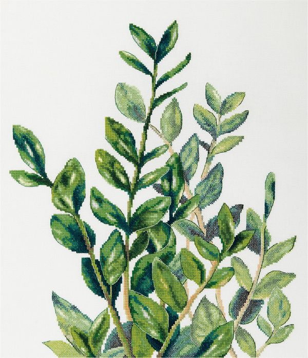 Набор для вышивания нитками Panna C-7454, Замиокулькас, 35х43.5 см