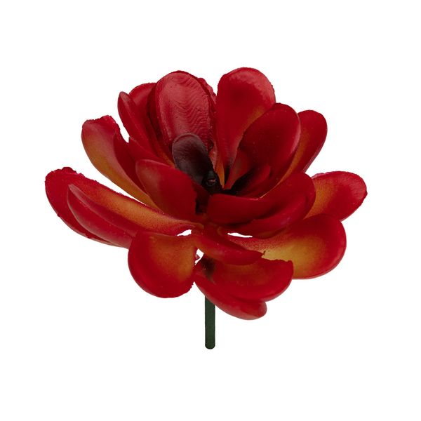 Суккуленты декоративные, 1 шт, 01, Blumentag ASU-10