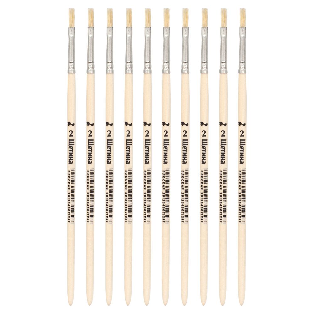 Кисть щетина школьная плоская №2,10 шт