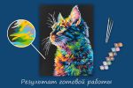 Картина по номерам Фрея PNB/PMB-294, Портрет котика, (эффект черного холста) 40х30 см