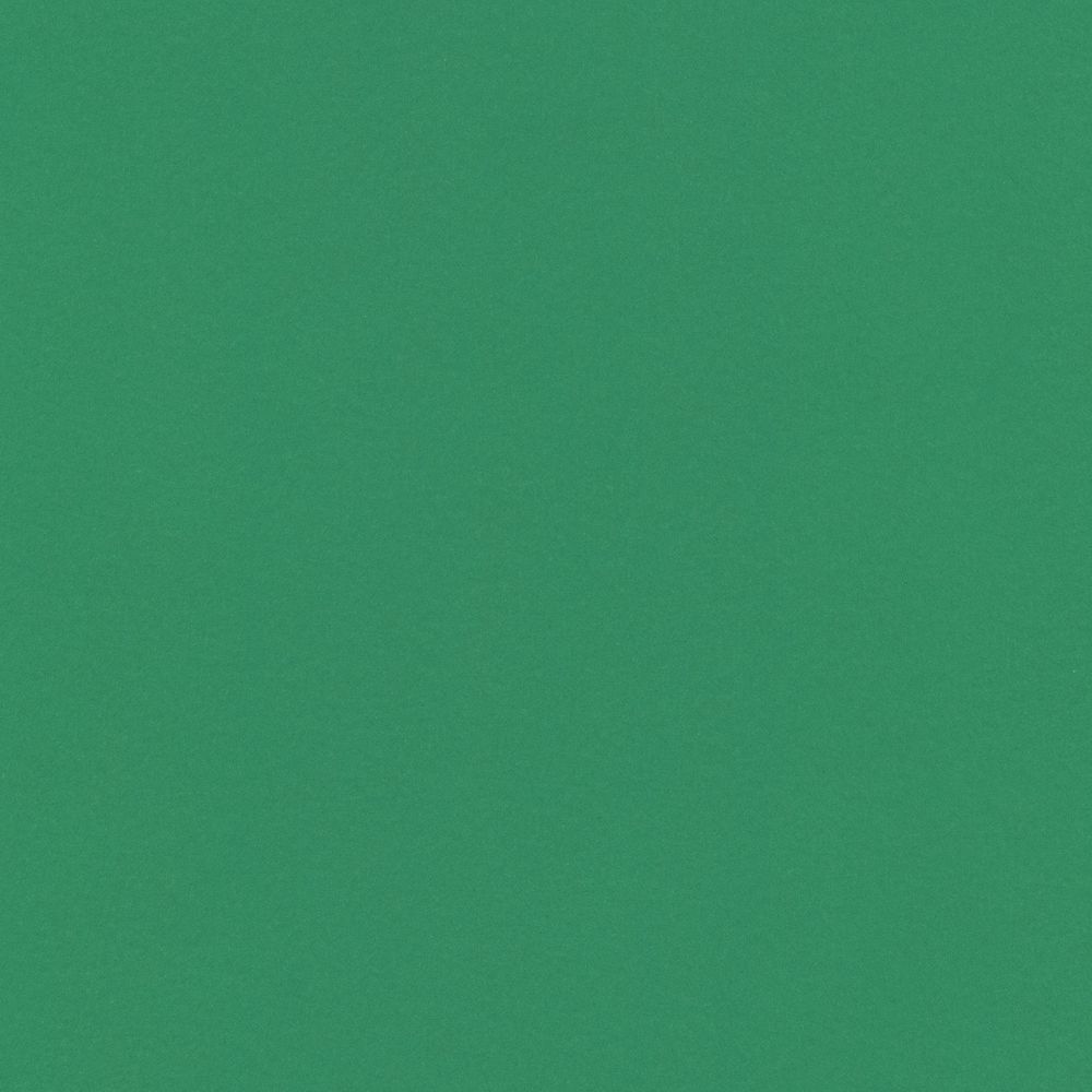 Бумага цветная 120 г/м², A4 21х29.7 см, 50 шт, 25 темно-зеленый/dark green, Vista-Artista
