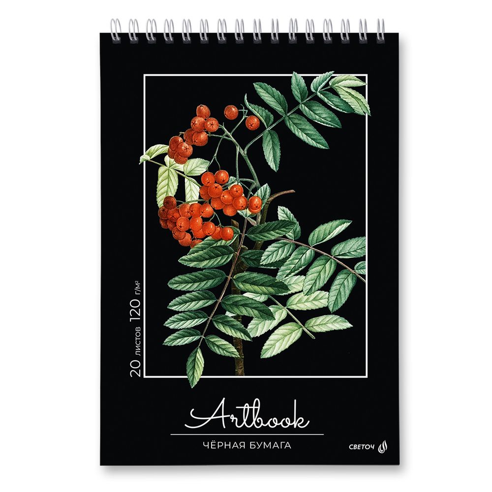 Артбук (скетчбук), блок черный, жесткая подложка, 120 г/м², 230х330 мм, на гребне 20 л. 2 шт, Рябина 01952, Светоч А310
