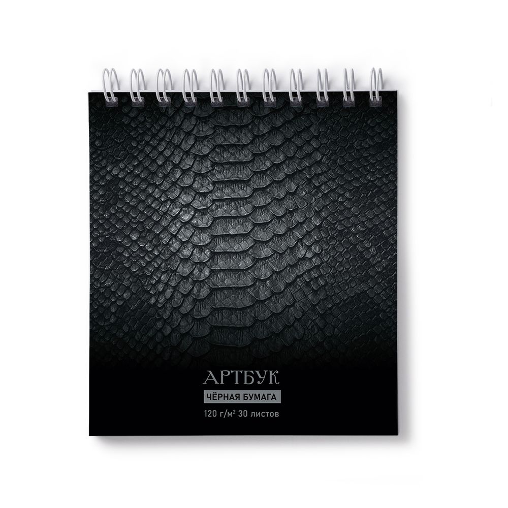 Артбук (Скетчбук), блок черный, жесткая подложка, 120 г/м², 166х175 мм, на гребне 30 л. 2 шт, черный питон 01937, Светоч А306