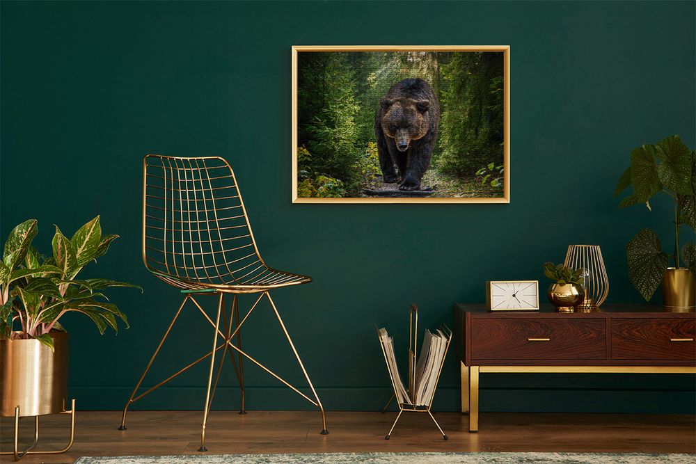 Пазл 1500 элементов, Медведь гризли на охоте, PZL-1500/27, Фрея