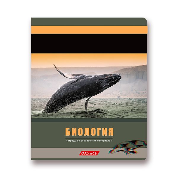 Тетрадь предметная Разные интересы A5+ 48 л. на скобе, 10 шт, клетка, Биология 48ТСК5 000149, Светоч