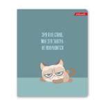 Тетрадь ученическая общая, софт тач, A5+ 96 л. на скобе, белизна 100%, 5 шт, клетка, 000350 Кот-пофигист, Светоч 96ТСК5_12_3_1