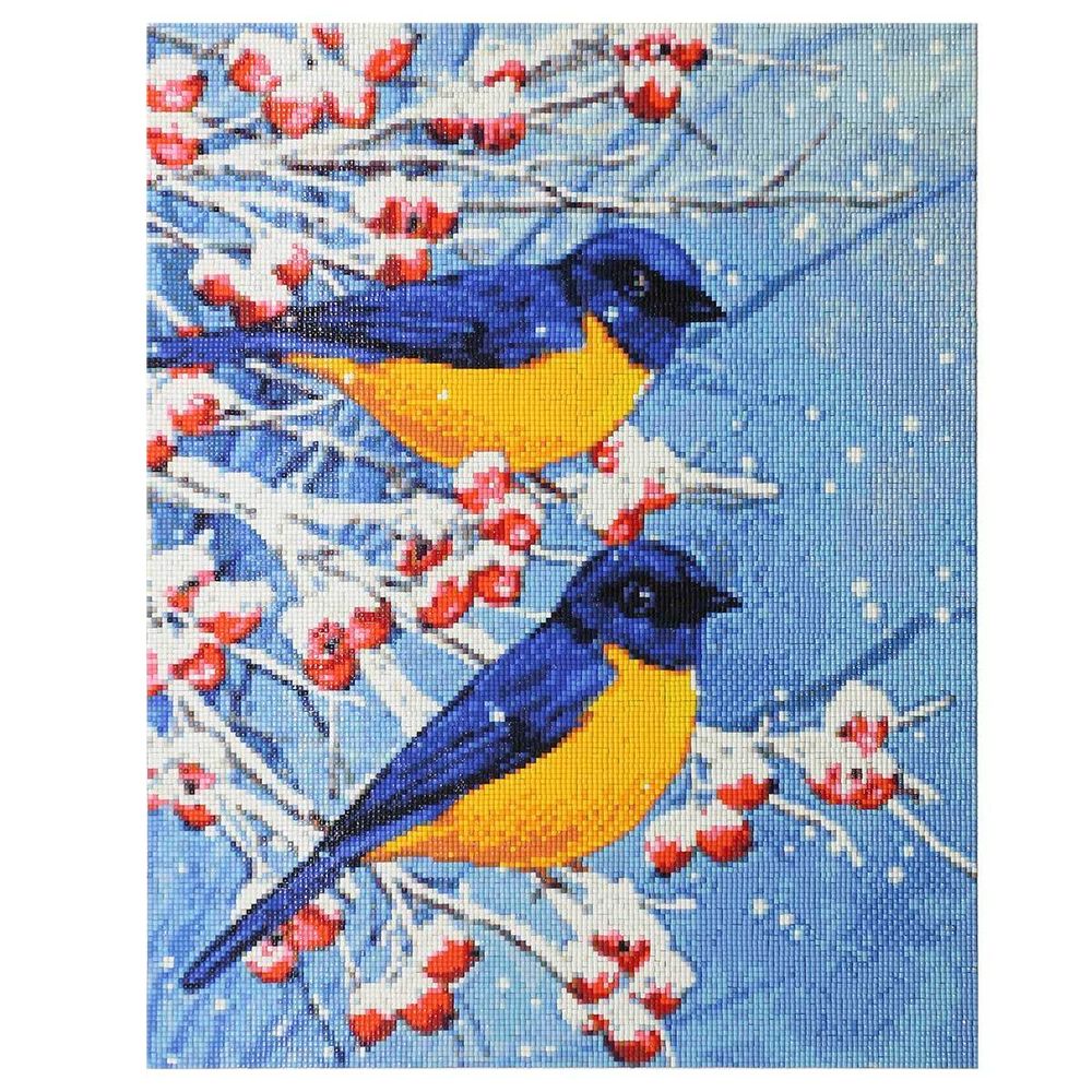 Алмазная (кристальная) мозаика Cristyle, Птицы, 40х50см