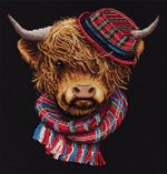 Набор для вышивания нитками Panna, Стиляга Джо, 25х24,5 см