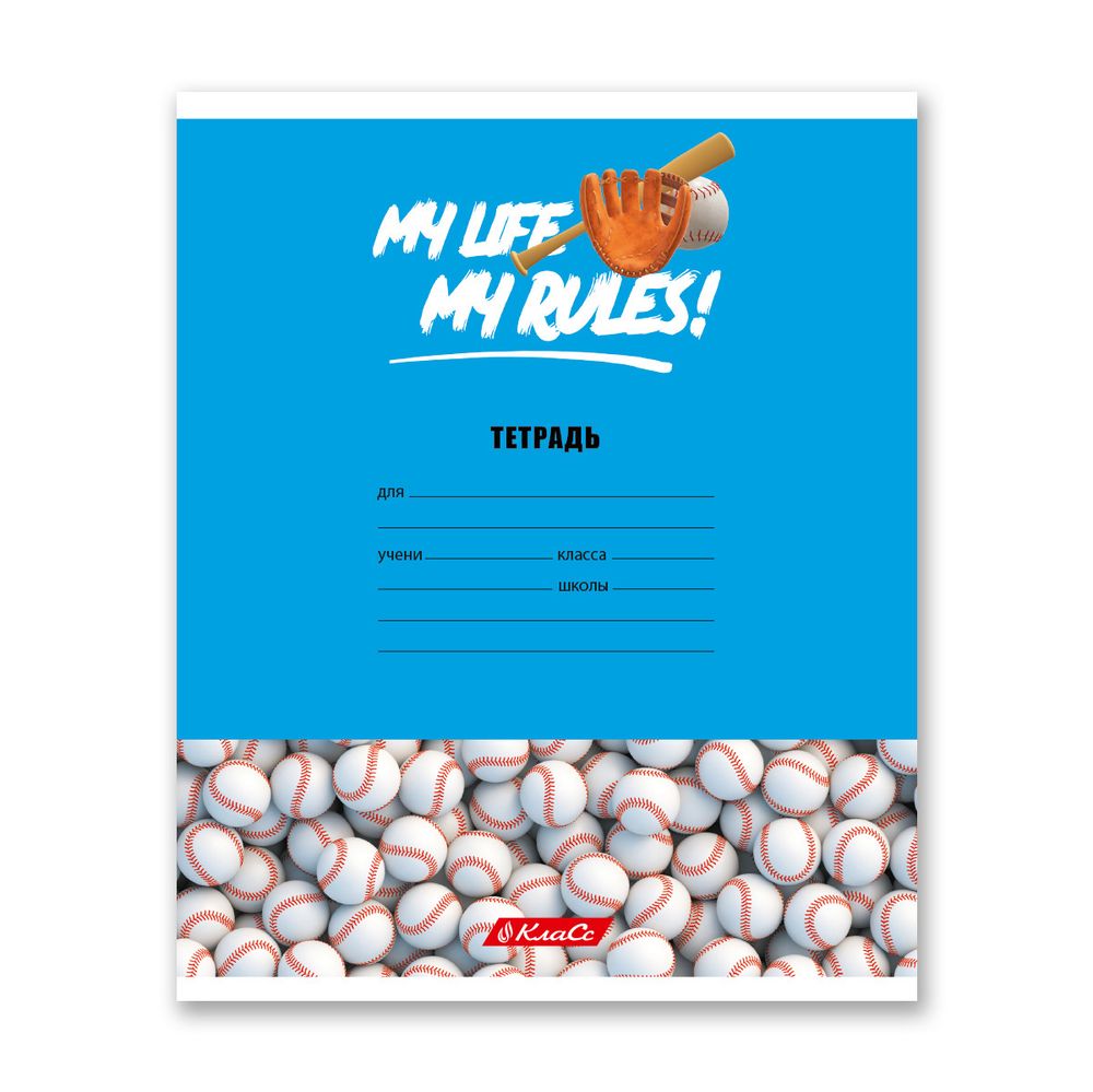 Тетрадь ученическая школьная A5+ 24 л. на скобе, белизна 100% 30 шт, клетка, 000372 Мячики, Светоч 24ТСКд5_1_3_1