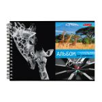 Альбом для рисования, 100 г/м², A4 29х20.5 см, на гребне 40 л., 6 шт, 40АЛГР4_000244 Саванна, Светоч