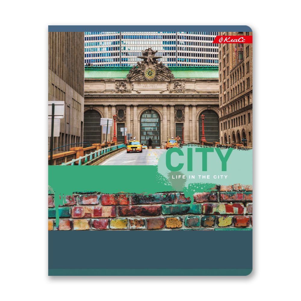 Тетрадь ученическая общая, A5+ 96 л. на скобе, белизна 100%, 5 шт, клетка, 000349 Мегаполис, Светоч 96ТСК5_1_3_1