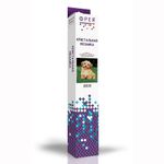 Алмазная (кристальная) мозаика Фрея, На прогулке, 30х25 см