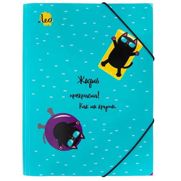 Папка на резинке A4 LRF-06 450 мкм 35 мм, песок, 5 шт, 02-Коты, Лео LRF-06