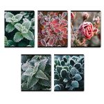 Тетрадь ученическая общая, глянцевая ламинация A5 48 л. на скобе 65 г/м², белизна 100% 10 шт клетка, 01503 Морозная свежесть, Светоч Т71