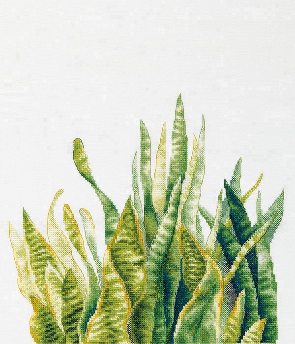 Набор для вышивания нитками Panna C-7455, Сансевиерия, 35х43.5 см