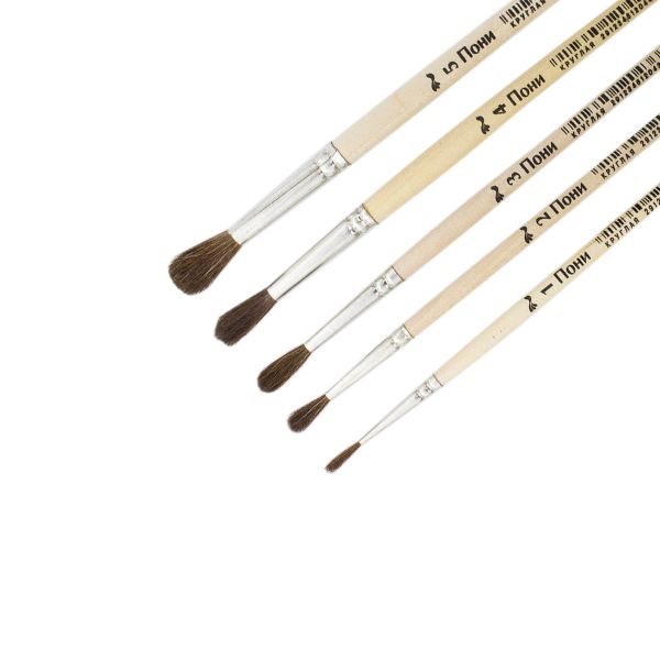 Набор 5 кистей Ромашка